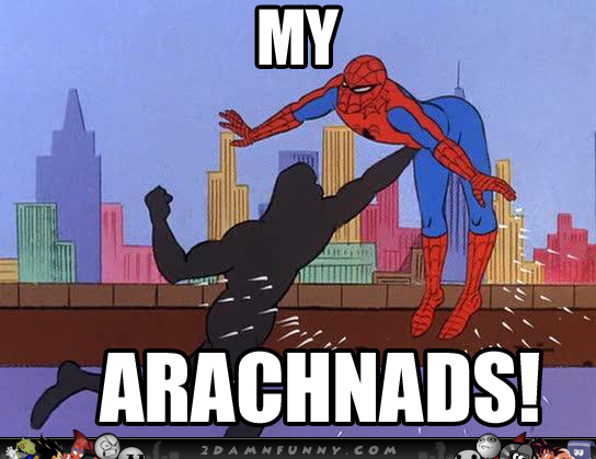 http://2damnfunny.com/wp-content/uploads/2012/12/60s-Spiderman-Meme-Get-It-Right-In-The-Spideys.jpg