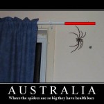 Australia, The Land Of Spiders With Hp And Mana Bars