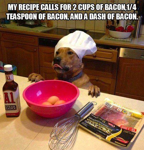 Chef-Bacon-Dog-Requires-All-The-Bacon-In-The-House.jpg