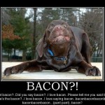 Give Dog Bacon, Dog Loves Bacon ! Demotivational