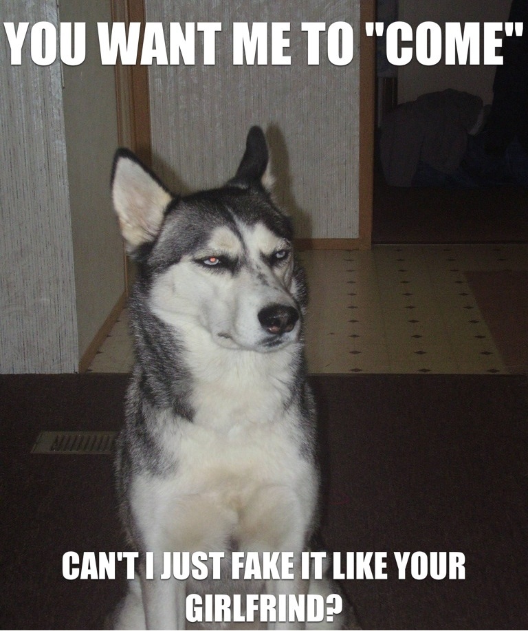 [Image: Sarcastic-Dog-Meme-Doesnt-Want-To-Come.jpg]
