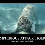 Amphibious Attack Tiger Trains Underwater