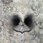 Cool Tim Burton Style Face In The Dirt