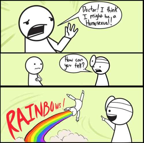 rainbow funny gay memes