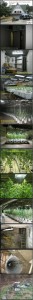A Multi-Million Dollar Pot Growing Operation In A Tennessee Home