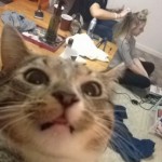 Cat Takes A  Selfie With The Friends In The Background