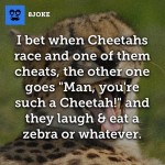 Cheetah Race Conversations & Activities