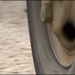 Crab Enters Defense Mode Against The Car Monster
