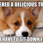 First World Dog Problems Meme Has To Do Tricks