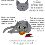 Konstantin The Huge Cat Comic By Chaoslife