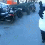 Panda Uses The Force For Evil