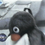 Penguin Carries Its Penguin Backpack To The Fish Shop For Groceries, Literally