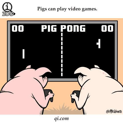 Pigs-Can-Play-Video-Games-Fact-By-Qi.com_.gif