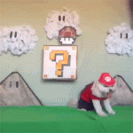 Super Plumber Dog Eats The Mushroom Kingdom Mushroom