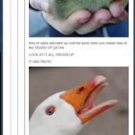 The Evil Tongue Teeth Goose Monster