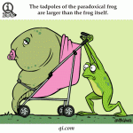 The Tadpoles Of The Paradoxical Frog Are Larger Than The Frog itself Fact By Qi.com