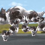 Welcome To Kitty City, The Spider Cat Monster Has Grown In Animation By Cyriak