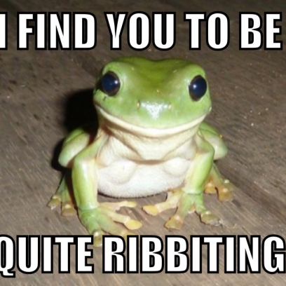 Image result for frog meme