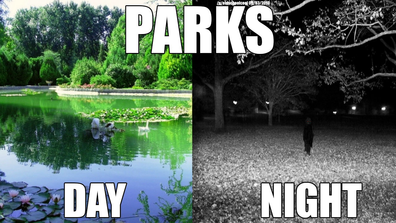Image result for guy in the park at night meme