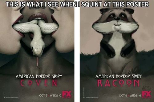 What Is Fx American Horror Story About