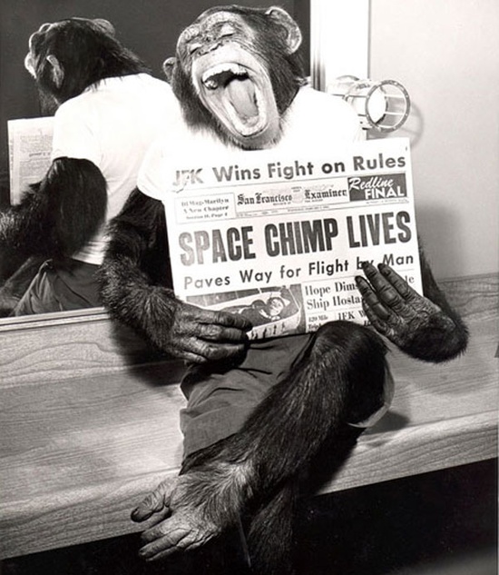 Space-Chimp-Happy-To-Be-Back-Home-After-