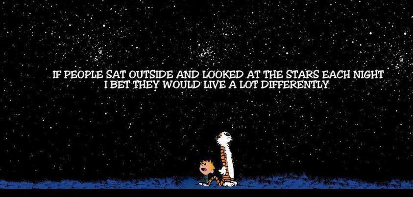Calvin And Hobbes Stare At The Starry Sky