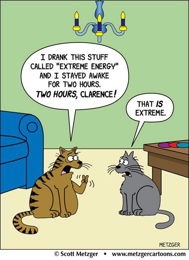 Cat Takes An Energy Drink For Extremeness, Comic By Metzgercartoons