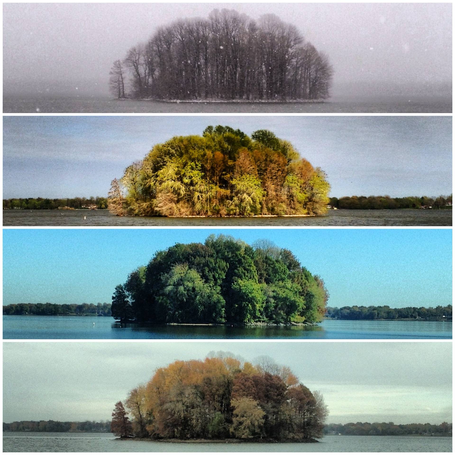 Four Seasons Of Nature’s Beauty